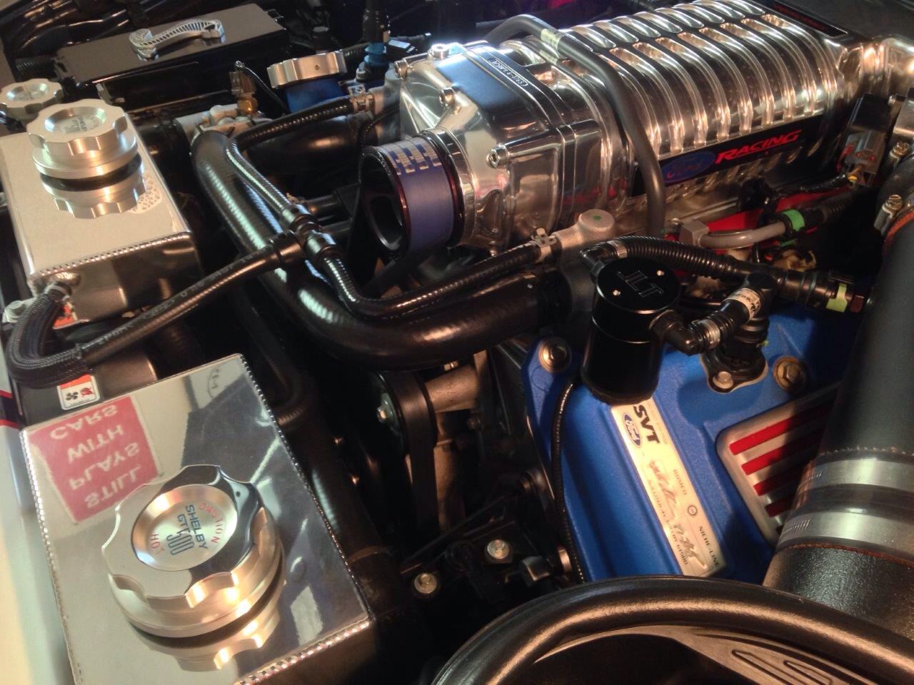 Gates blue accessory belt BAM! Ford Shelby GT500 Forum