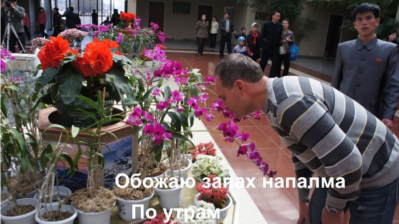 Северная Корея дико предвзято или Как я первый раз влюбился в азиатку