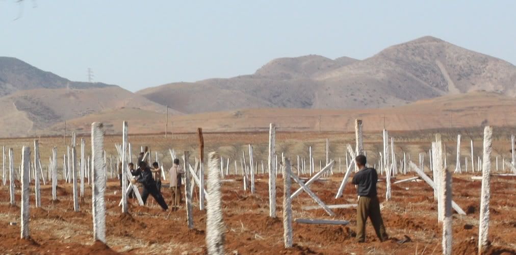 Северная Корея дико предвзято или Как я первый раз влюбился в азиатку