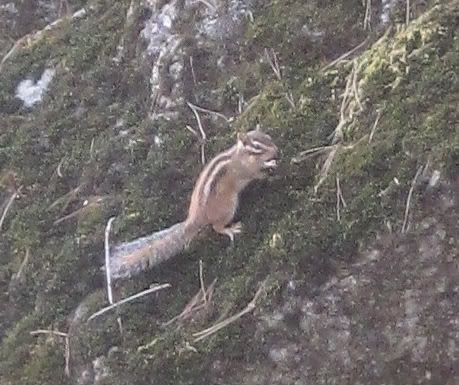 Северная Корея дико предвзято или Как я первый раз влюбился в азиатку