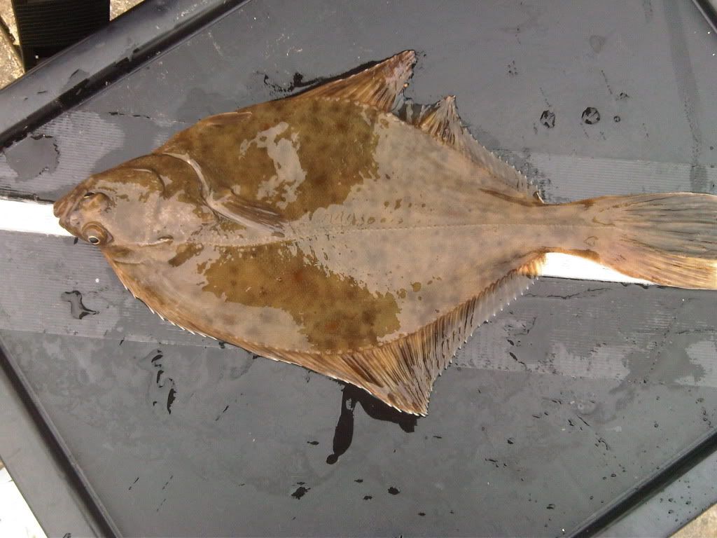 IMG00329-20120429-0950.jpg