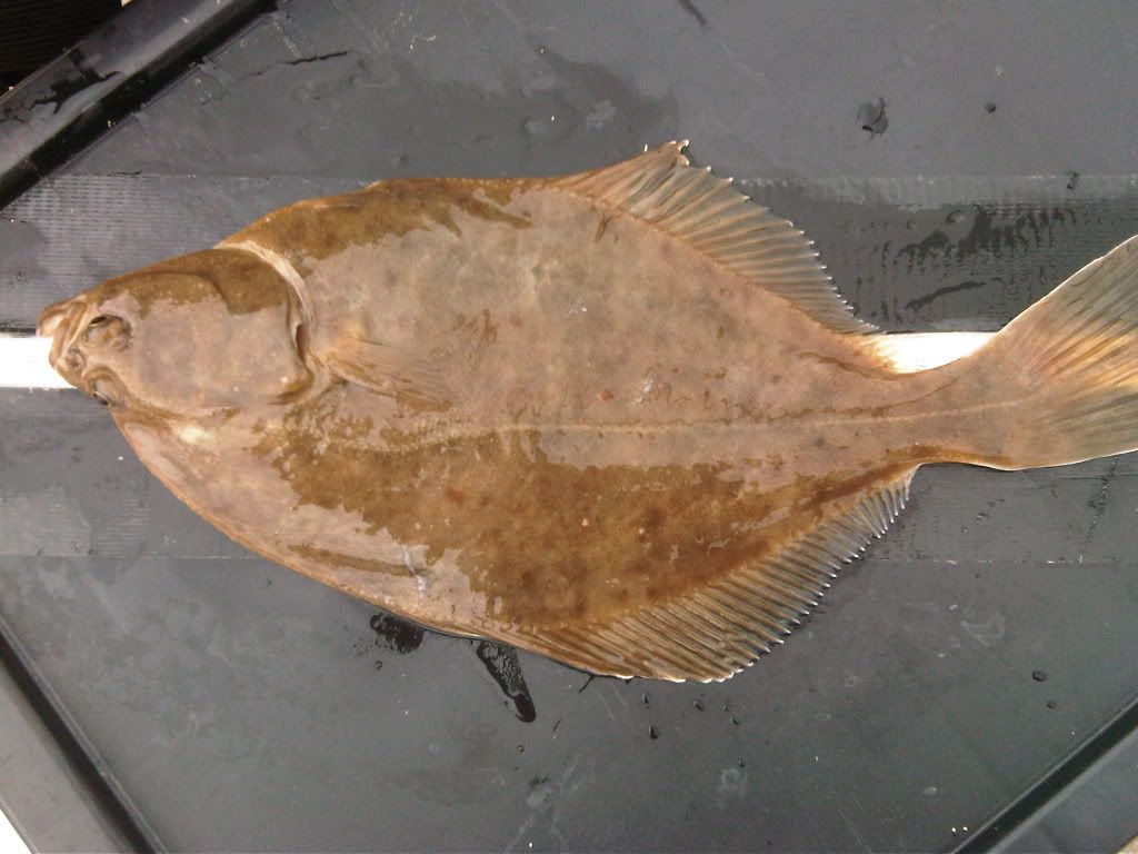 IMG00331-20120429-1019.jpg