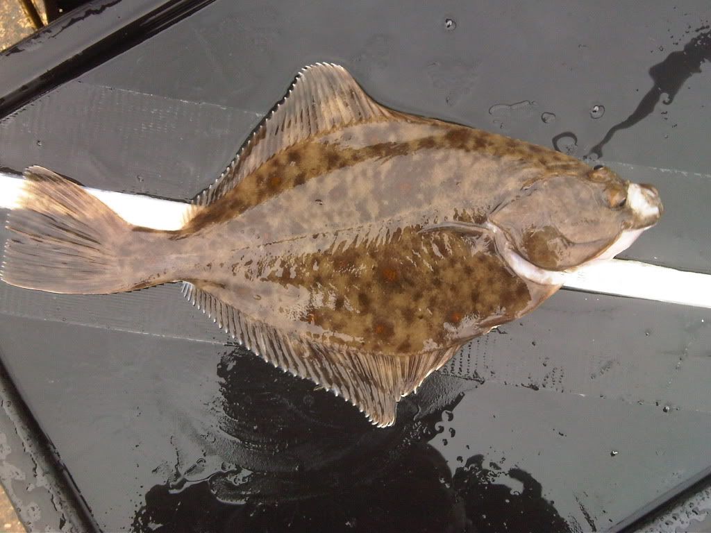 IMG00335-20120429-1341.jpg