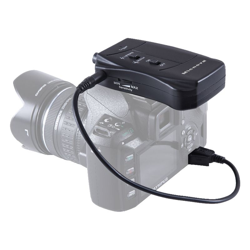 Lightning/Fireworks & Motion Sensor/Security/Wildlife Trigger for