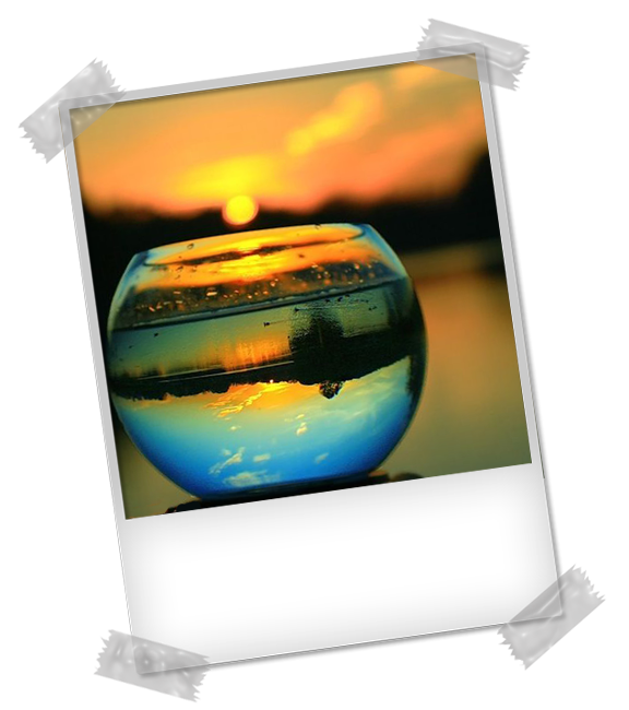 PhotographyReflection_zps95b406e5.png
