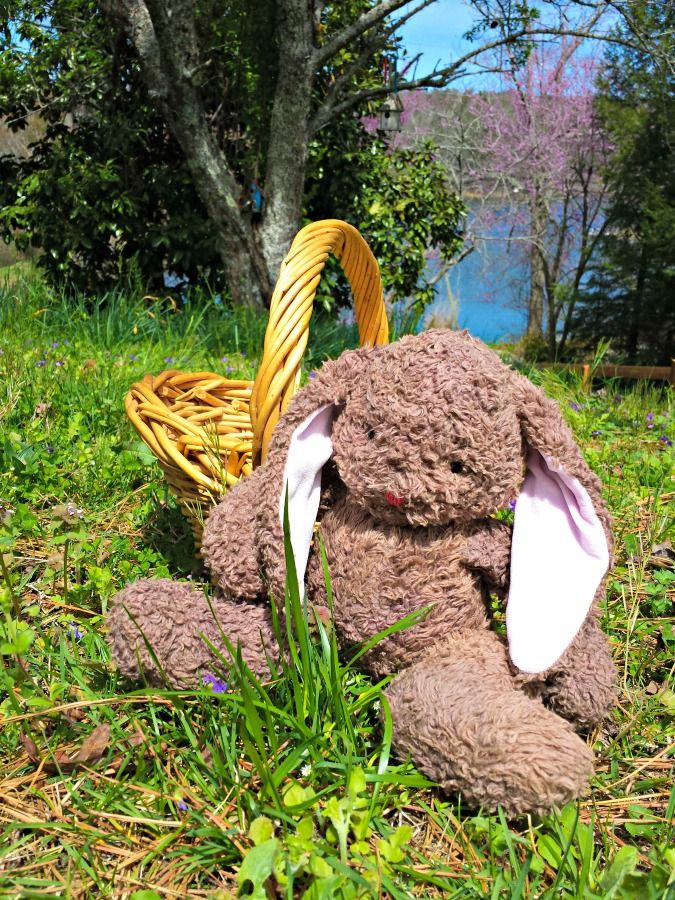 Olive - 14" Bunny doll