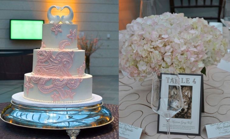 Designing a Wedding Cake with Personality- Pink Octopus Sugarland Wedding Cake Designing a Wedding Cake with Personality- Pink Octopus Sugarland Wedding Cake