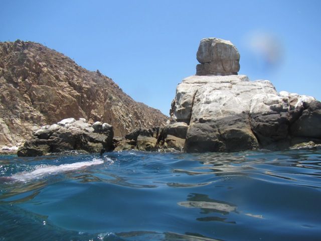 Escapada a Los Cabos BCS, Mexico... - Blogs de Mexico - Escapada a Los Cabos BCS , Mexico... (13)