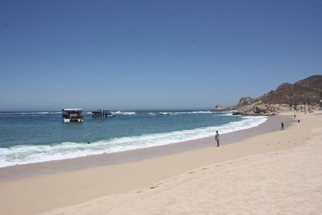 Escapada a Los Cabos BCS, Mexico... - Blogs de Mexico - Escapada a Los Cabos BCS , Mexico... (61)