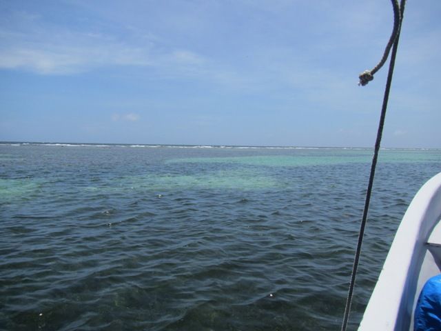 Segundo Dia: Paseo por Mahahual y Snorkel en el Arrecife Local. - Mahahual-Banco Chinchorro-Bacalar para recordar... (4)