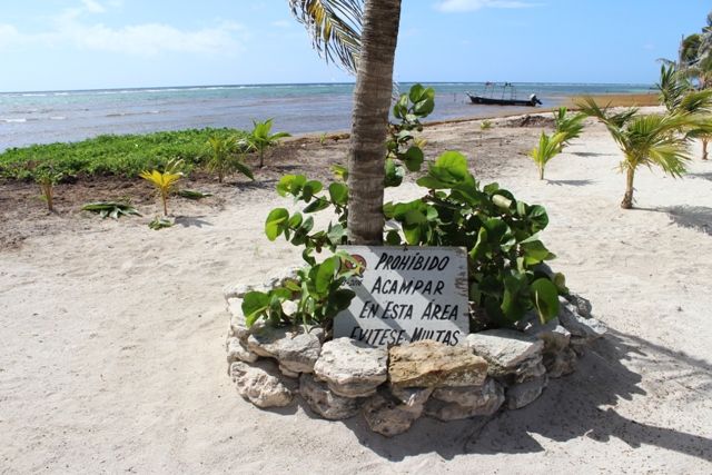 Mahahual-Banco Chinchorro-Bacalar para recordar... - Blogs de Mexico - Segundo Dia: Paseo por Mahahual y Snorkel en el Arrecife Local. (12)