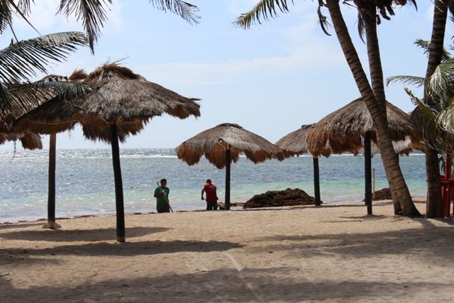Mahahual-Banco Chinchorro-Bacalar para recordar... - Blogs de Mexico - Segundo Dia: Paseo por Mahahual y Snorkel en el Arrecife Local. (16)