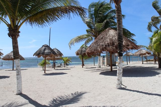 Mahahual-Banco Chinchorro-Bacalar para recordar... - Blogs de Mexico - Segundo Dia: Paseo por Mahahual y Snorkel en el Arrecife Local. (22)