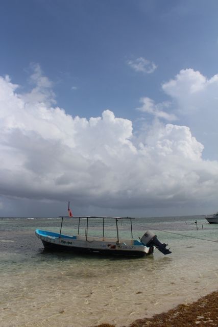 Segundo Dia: Paseo por Mahahual y Snorkel en el Arrecife Local. - Mahahual-Banco Chinchorro-Bacalar para recordar... (23)
