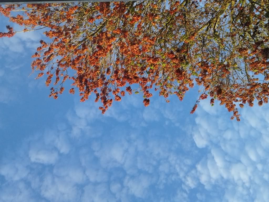 Http S1257 Photobucket Com Albums Ii513 D Do