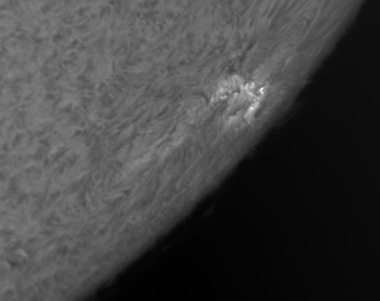 7 March 2011