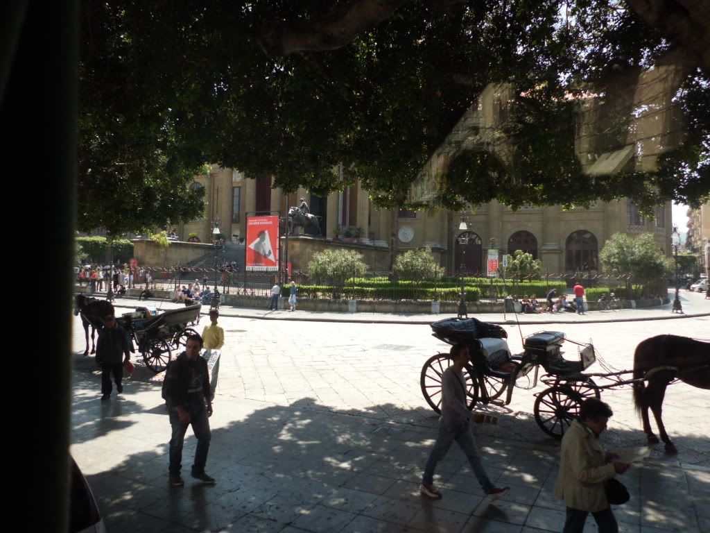 CIMG0253.jpg