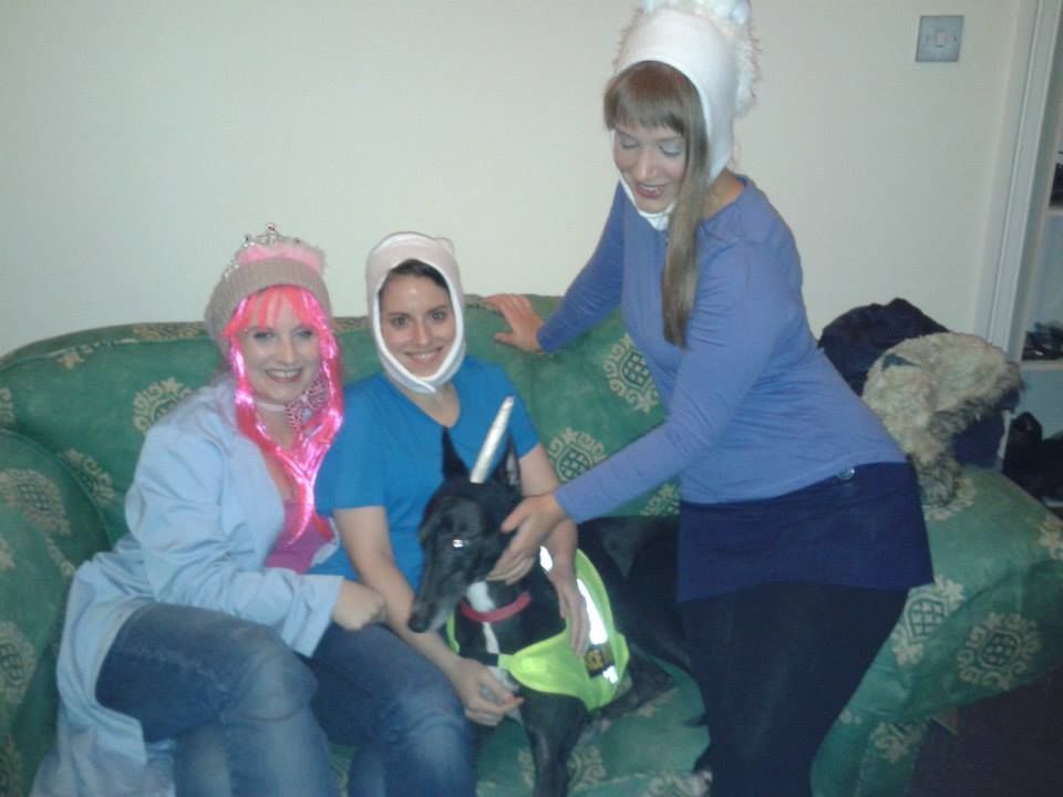 Greyhound Halloween Costumes Cute and Funny things Greyhounds do