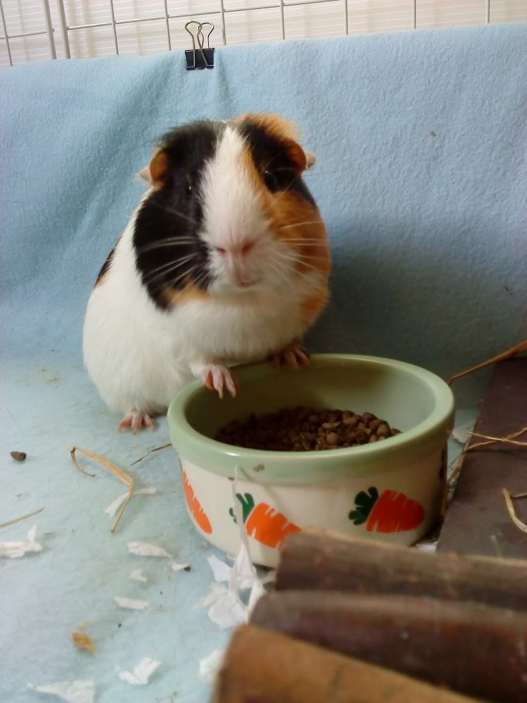 DSC00084.jpg